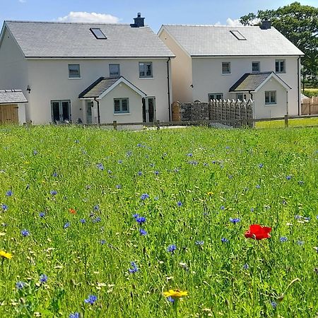 Brecon Beacons Cottage With Stunning Country Views Myddfai Zewnętrze zdjęcie